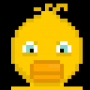 projets:chica.png